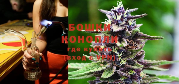 PSILOCYBIN Богданович