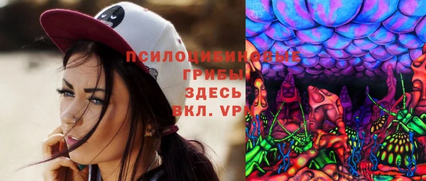 винт Белокуриха