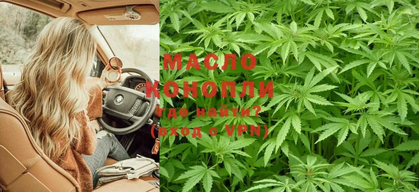 PSILOCYBIN Богданович