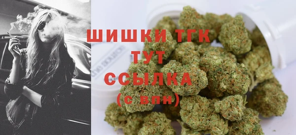 винт Белокуриха