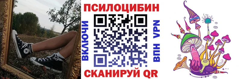 Псилоцибиновые грибы Psilocybine cubensis  Химки 